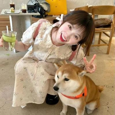 迎春的故事